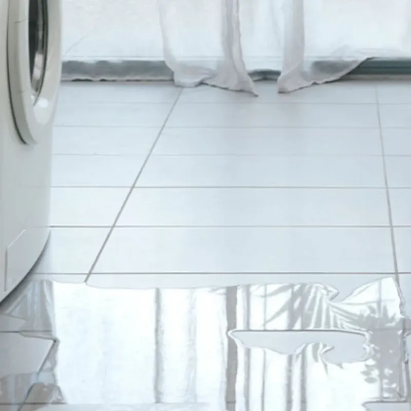 Appliance Leak Cleanup in Good Hope, CA