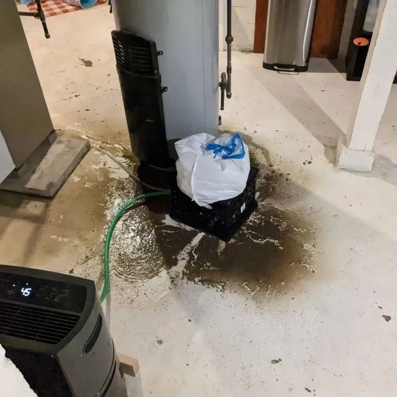Sewage Backup Cleanup Service in Good Hope, CA